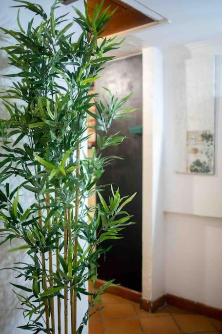 דירות רומא Via Dei Cestari Loft מראה חיצוני תמונה